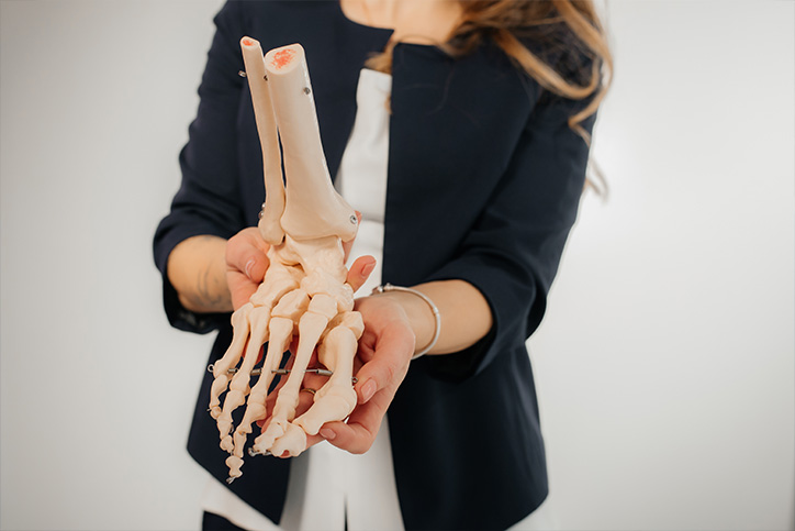 Anatomy-&-Palpation