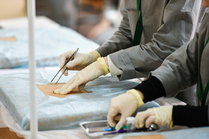 Anatomy and Palpation Lab 1 - Massage therapy diploma program