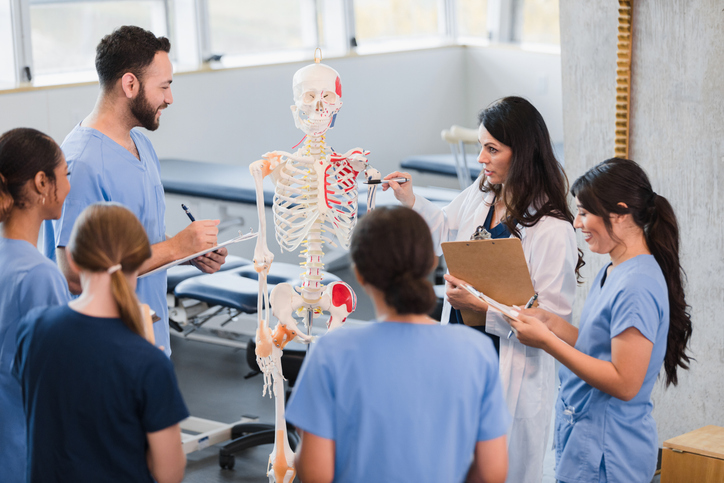 Manual Osteopathy Practitioner Diploma